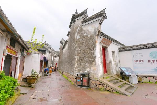 省政协委员杨涛：开展慢病科普规划教育，助力慢病防控关口前移